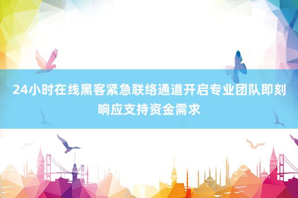 24小时在线黑客紧急联络通道开启专业团队即刻响应支持资金需求