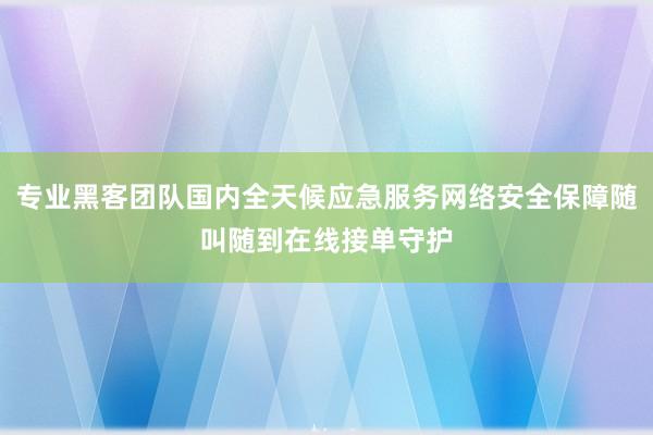 专业黑客团队国内全天候应急服务网络安全保障随叫随到在线接单守护