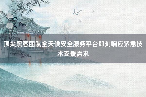 顶尖黑客团队全天候安全服务平台即刻响应紧急技术支援需求
